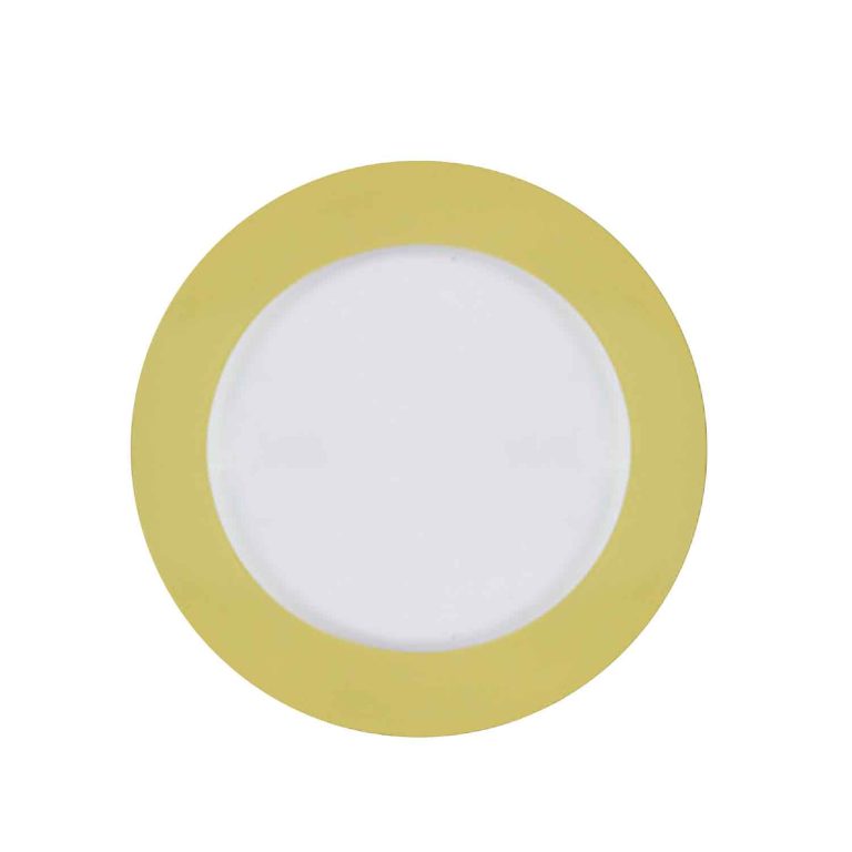 White and Gold Plastic Dinner Plates Disposable